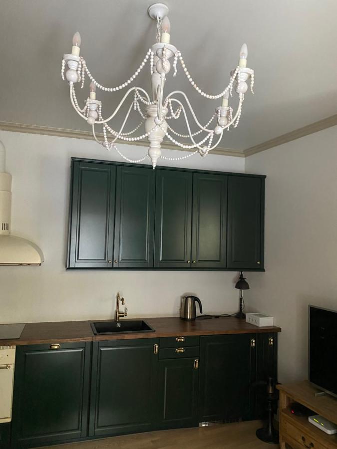 Exclusive Gaono Apartment In The Heart Of Old Town Vilnius Eksteriør bilde