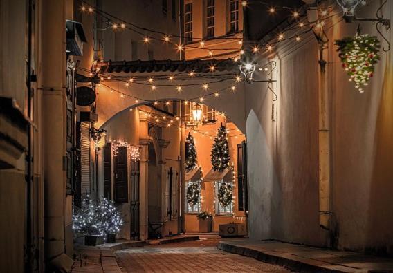 Exclusive Gaono Apartment In The Heart Of Old Town Vilnius Eksteriør bilde